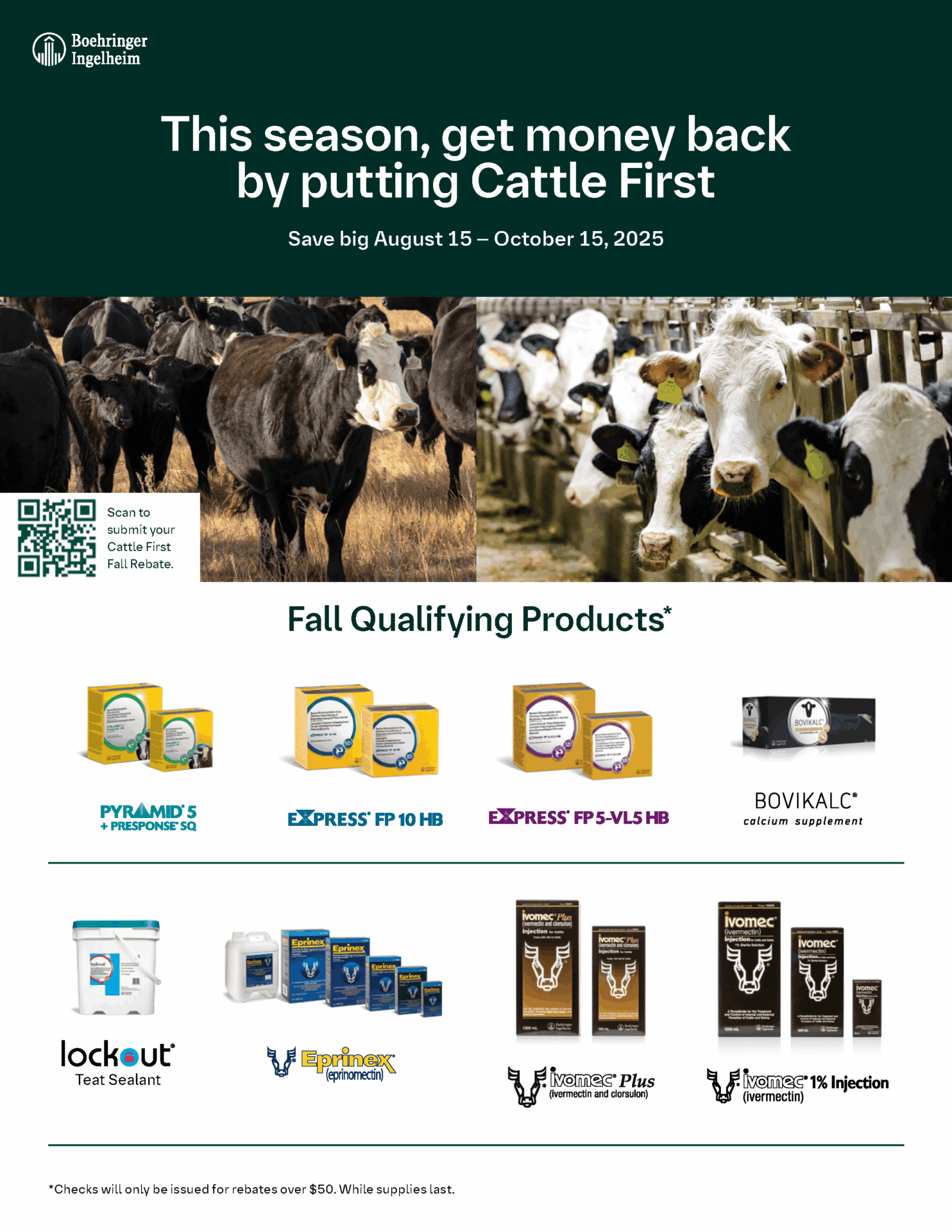 A promotional flyer for Boehringer Ingelheim's Cattle First rebate program shows cows, rebate-eligible cattle vaccines, and a QR code for more information. Offer valid Aug 15–Oct 15, 2025.