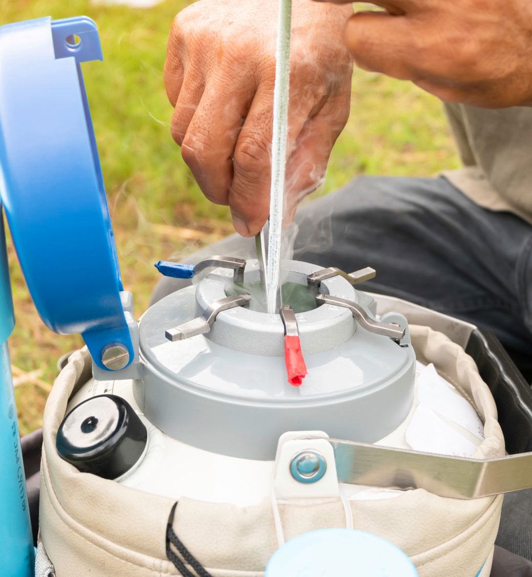 A person uses tweezers to handle samples in a cryogenic storage container emitting vapor, with a blue lid open outdoors.