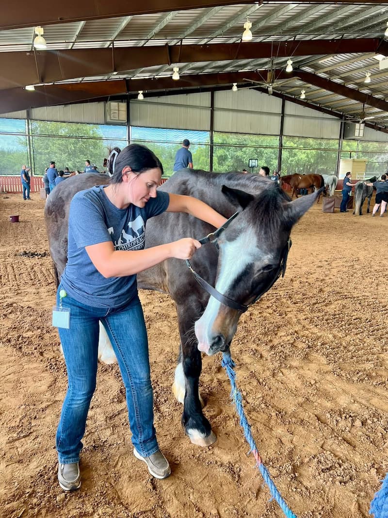 A woman adjusts the bridle on a horse inside an indoor riding arena with other people and horses in the background.