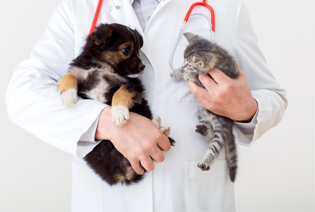 A veterinarian holds a puppy in the left arm and a kitten in the right arm, both wearing a white coat with a stethoscope around the neck.