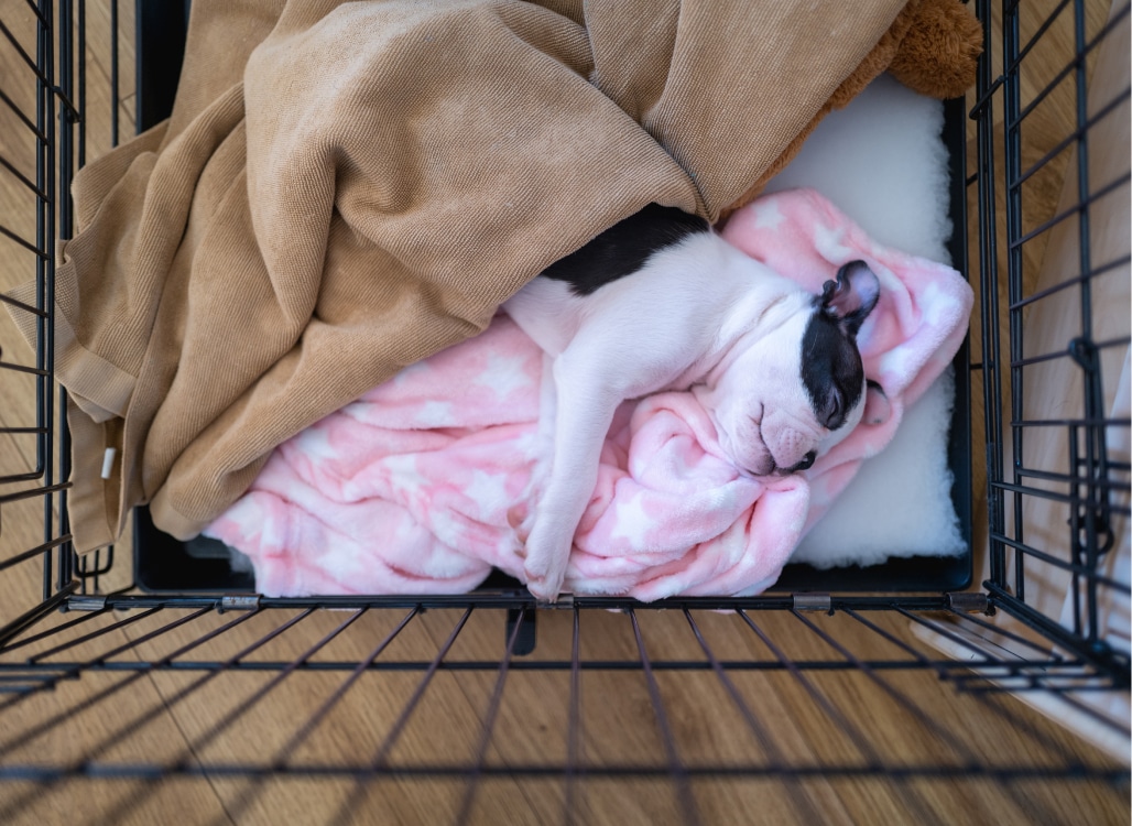 A small dog sleeps peacefully in a black crate, covered with a tan and a pink blanket.